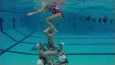 Que voit-on sur la photo ?