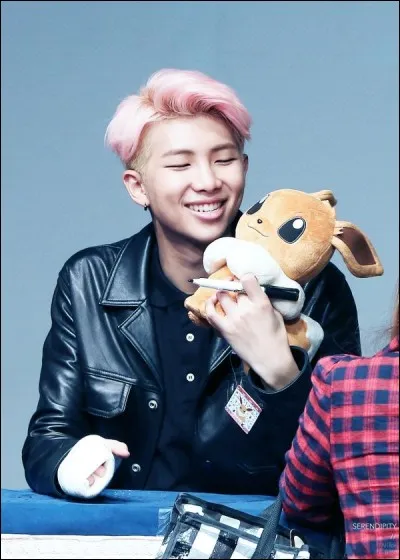 Quel est le titre de la chanson solo de RM dans laquelle une fille en sous-vêtements apparaît ?