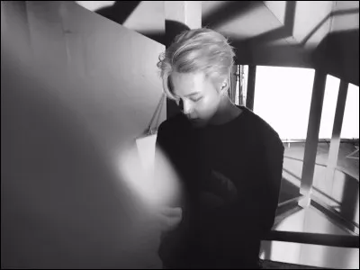 Quelle est la seule chanson à laquelle Jimin a contribué avec un autre membre de BTS ?