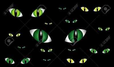 De quelle couleur seront tes yeux de félin ?