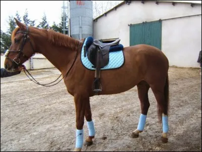 Quelle est cette robe ?