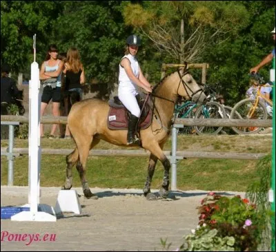 Quelle robe est-ce ?