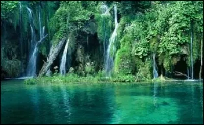 Qui a MLG dans une source d'eau apr&egrave;s avoir utilis&eacute; une pomme de Notch ?