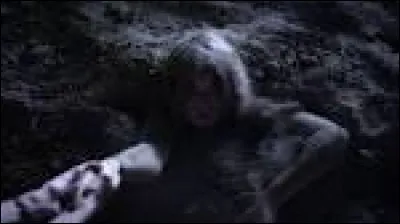 Qui a sauvé la vie d'Alison quand elle était enterrée vivante ?