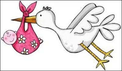 En quelle année sont-elles nées ?