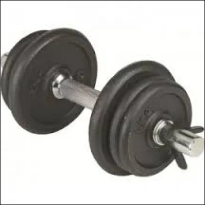 Qui fait le plus de sport ?