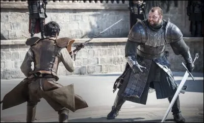 Comment est désigné ce genre de combat féroce appelé "jugements de Dieu" ?