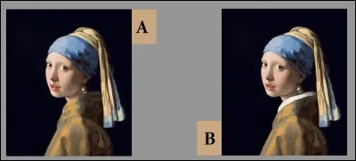 Parmi, ces deux tableaux, quel est le faux ?