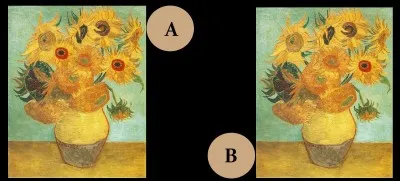 Parmi, ces deux tableaux, quel est le faux ?