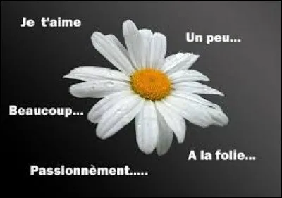 Êtes-vous romantique ?