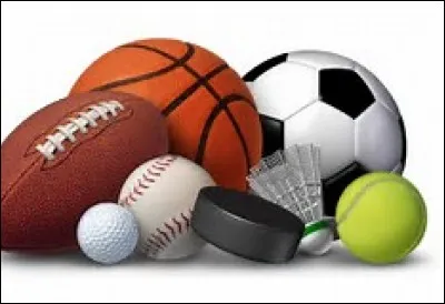 Ton sport (ou ta passion) serait...