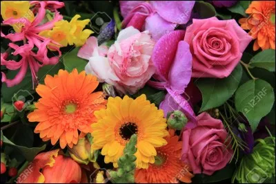 Quelle fleur préfères-tu ?