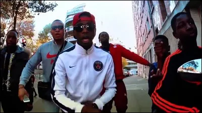 Quel est le type de musique que l'artiste chante ?