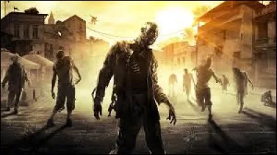 Qui est l'interprète de la musique "Zombie" ?