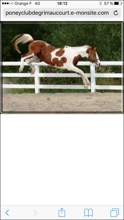 Quelle est la robe de ce poney ?