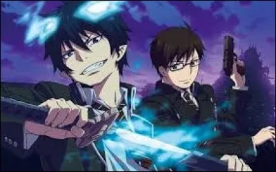Rin et Yukio sont :