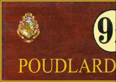 Dans le Poudlard Express de qui va-t-il faire la rencontre ?