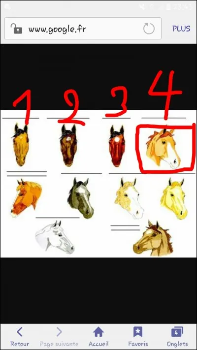 Comment s'appelle la "tache" qu'à le cheval n°4 ?