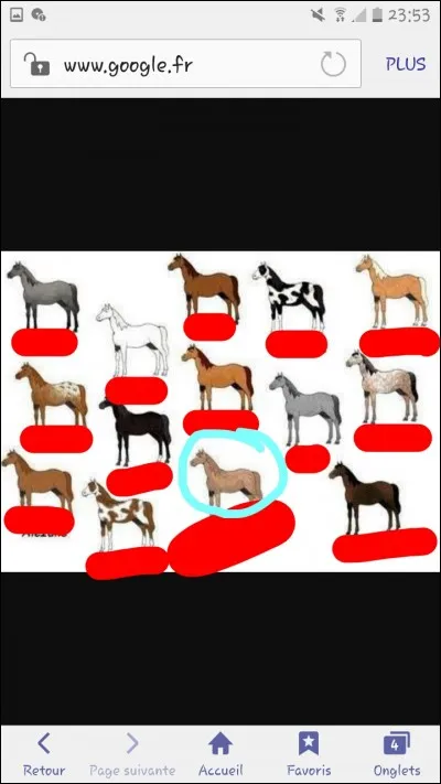 Comment s'appelle la robe entourée en bleu ?