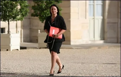 Sylvia Pinel était en janvier la seule femme candidate à la primaire de la gauche. A quoi avait-elle auparavant été élue ?