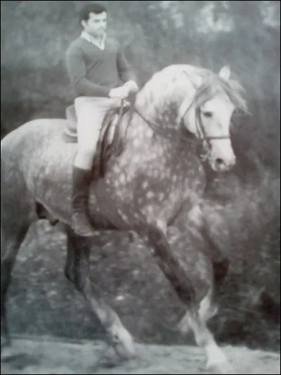 Quelle est cette race ?