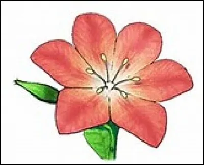 Qu'est-ce que c'est ?