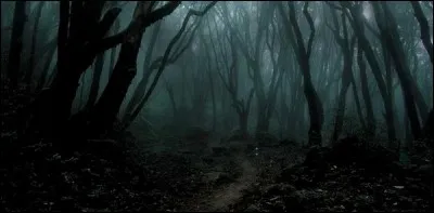 Vous vous êtes perdu en pleine forêt, en pleine nuit, vous êtes paniqué et il n'y a personne et pas de réseau...