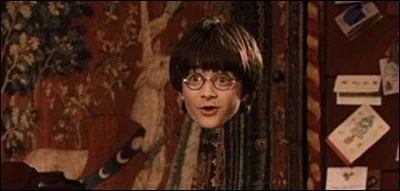 Qui a offert la cape d'invisibilité à Harry ?