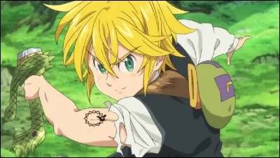 Meliodas est la colère du dragon.