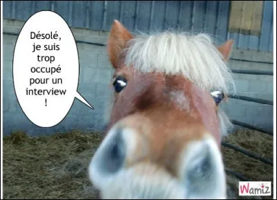 À partir de quelle taille un poney devient-il cheval ?