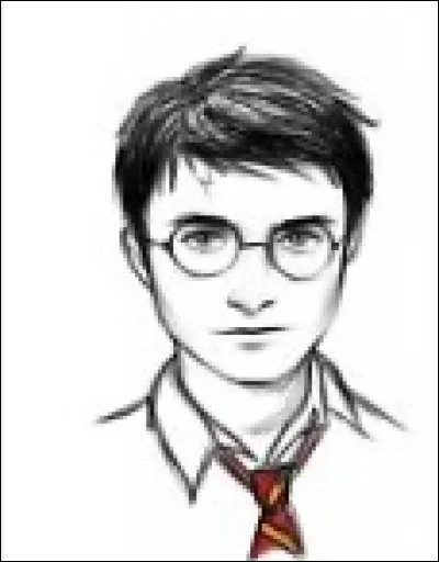 Qui est Harry Potter ?