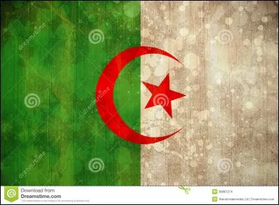 Choisis Boutéflika. (Algérie)