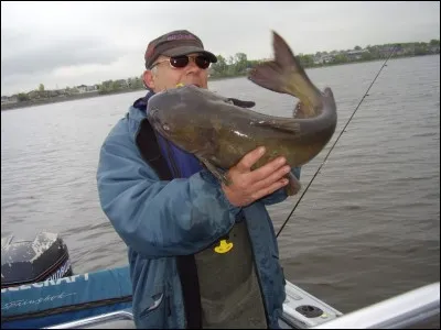 Quel est ce poisson ?