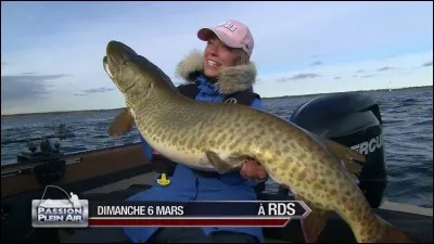 Quel est ce poisson ?