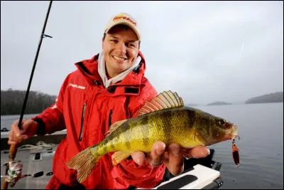 Quel est ce poisson ?