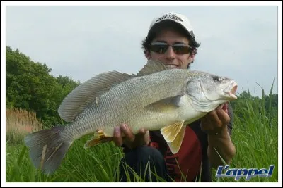 Quel est ce poisson ?