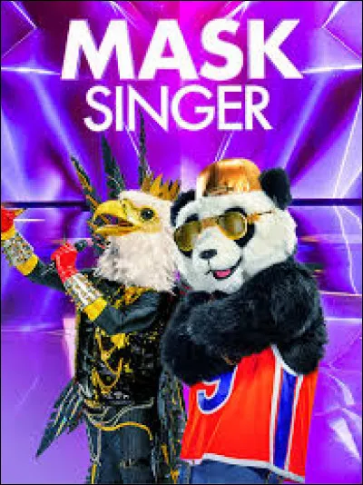 Sur quelle chaîne est diffusé cette émission ?