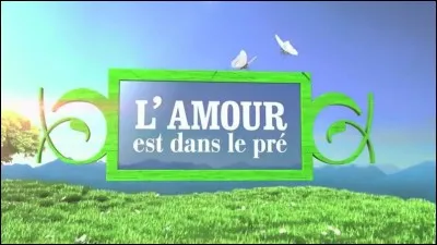 Sur quelle chaîne se trouve cette émission ?