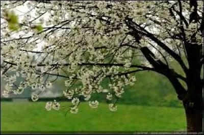 Horreur, dégoût, en Acadie :