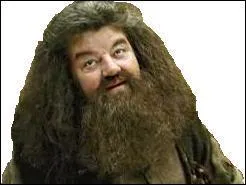 Comment s'appelle le gardien des cls de Poudlard ?