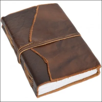 Quand commence le récit (journal intime) ?