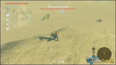 Quel est le nombre de PV d'un Moldarquor ?