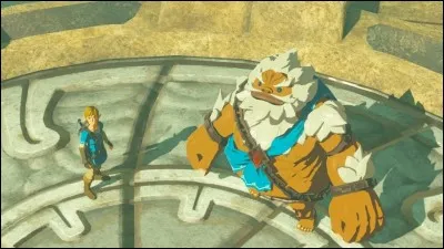 Combien y a-t-il de prodiges ?