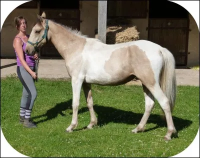 Sérieux, faut que j'arrête avec les robes. Alors ...