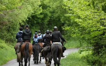 Quiz Galop 2