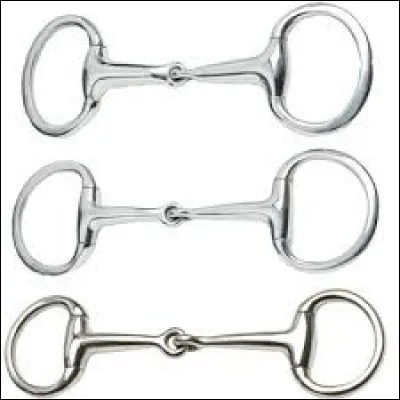 Tu nettoies le mors de ton filet avec ...