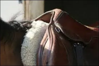 Dégager le garrot après avoir sellé c'est ...