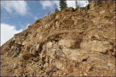 Quel est ce site fossilifère ?