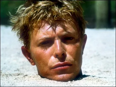 Parmi ces compositeurs, lequel n'a jamais été samplé par Quentin Tarantino dans l'un de ses films ?