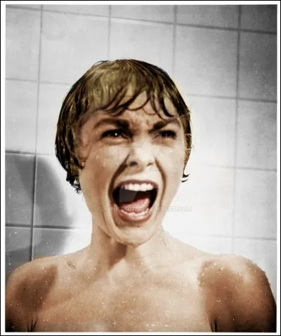 Bernard Herrmann écrit la musique de "Psycho" (Psychose) d'Alfred Hitchcock en 1960, qui donnera naissance à 3 suites et un remake plan par plan. Quel compositeur succède à Bernard Herrmann sur "Psycho II" (Psychose 2) en 1983 ?